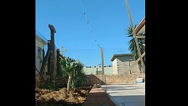 Nonton Minha Madrasta Se Exibindo Em Publico No Jardim Sem Calcinha. thumbnail