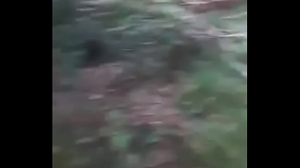 Una rica chupada en el bosque 