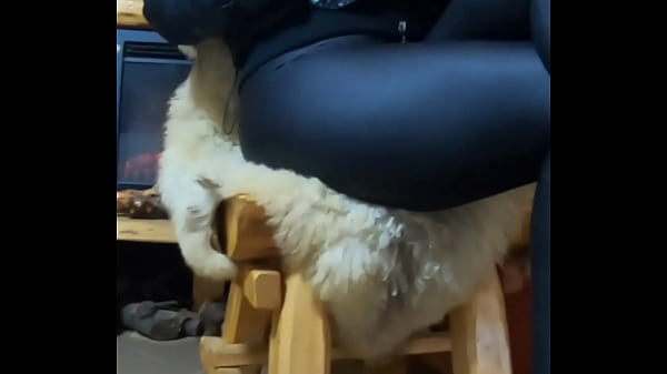 After we smoke a cigarette we must have some real action!#milf, #pov, #latina, #bigass , #romance, #joi, #fetish 