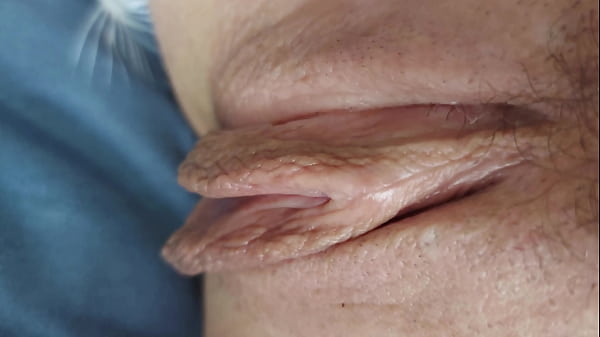 mywet shaved pussy closeup