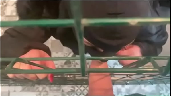 Preview adventures of milfycalla ep 78 a compilation of blowjobs and fuckingi have red a compilation of my videos i