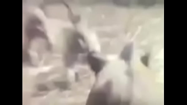 Nonton Fuck thumbnail