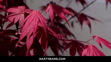 Nonton Beautiful Blonde Sky Wonderland Shows Her Perfect Body Wrapped In Black Lingerie thumbnail