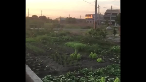 Video x&aacute_c minh