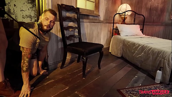 Unleashed / TransAngels 