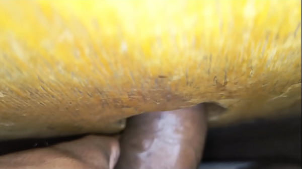 Play MP4 - NO BURACO GLORY HOLLE UMA ENORMA PICA NEGRA DE 24CM&period;