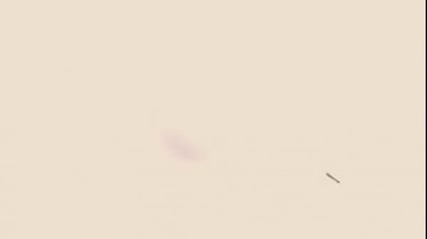 Nonton Gokusjj666 thumbnail