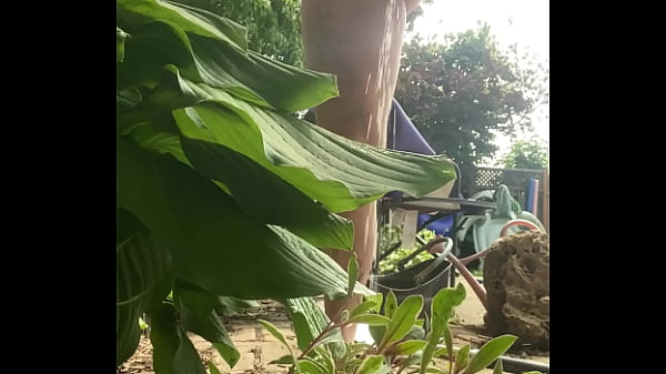 Tiatinkles pissing by the pool img 2987 jul 30 2025 