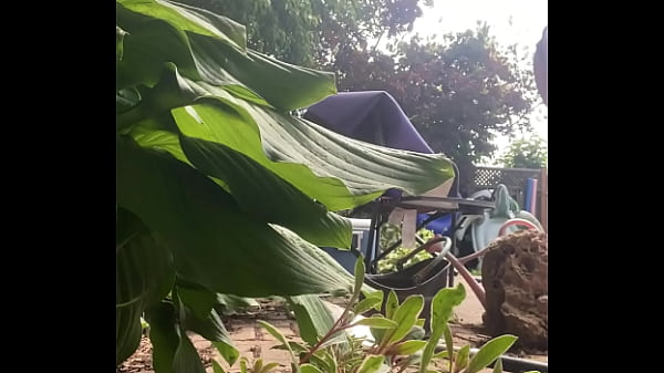 Nonton Tiatinkles - Pissing By The Pool - Img 2987 - Jul 30, 2025 thumbnail