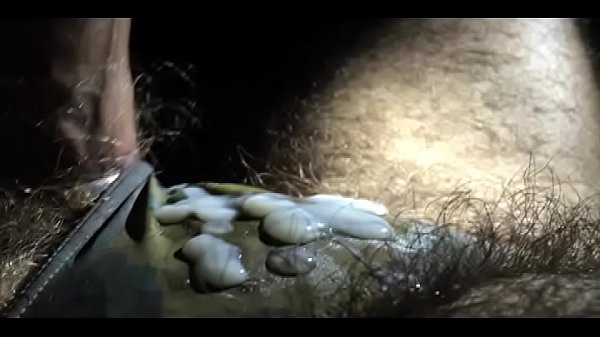 TIERY B. // PHOTO-PORNO-GRAPHER // XXIV 