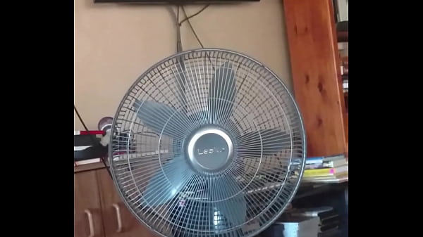 Tribute Peter North Fucking Taylor Wayne in Laying the Ghost jack off