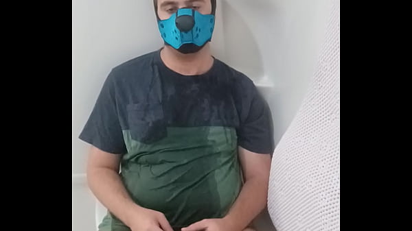 Puppy joue avec sa pisse 