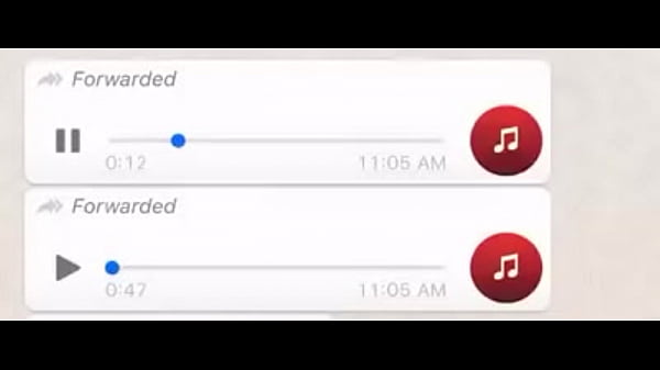 Aprendan a mamar culo 