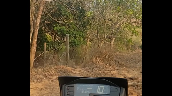 V&iacute_deo de verifica&ccedil_&atilde_o