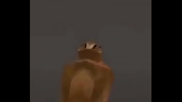 Video con t&iacute;tulo random. 