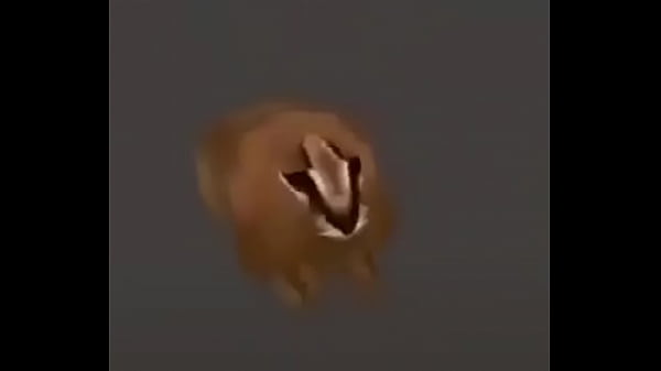 Video con t&iacute;tulo random 