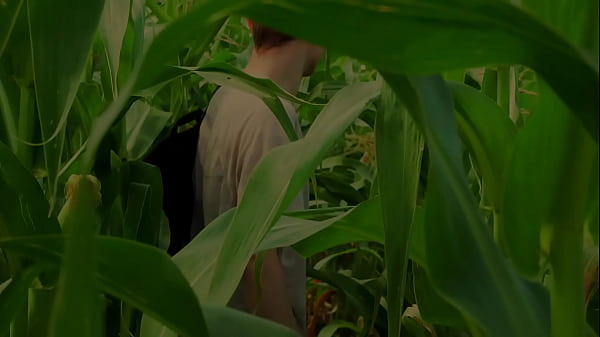 Sweet boy gives blowjob in cornfield to his friend 