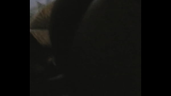 Nonton Interracial thumbnail