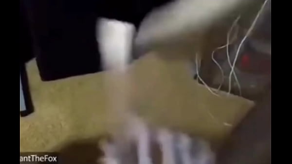 Esqueleto haciendo manualidades xd 