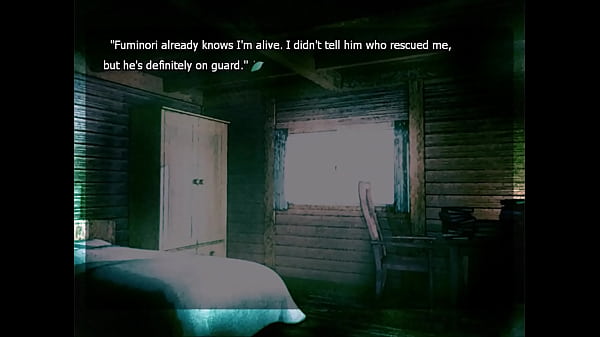 Lets Play_Song of_Saya part 13