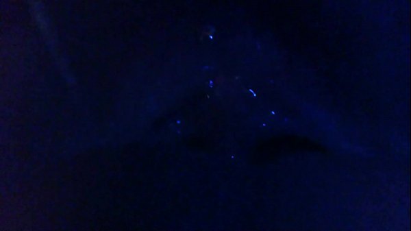 Your slutty play with this food porn and want to eat you_all