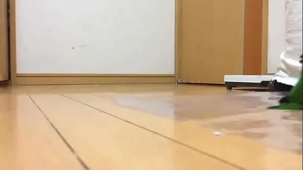 Parrto hot green stomping 