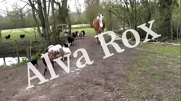 Teaser vid&eacute;o de 18min balade en cano&euml; 