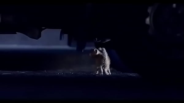 Verification video