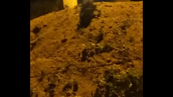 Video bokep part 73666283 