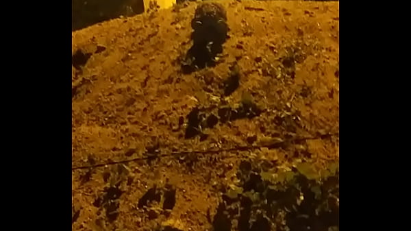 cururu fodendo gostosinho enquanto sobe morro