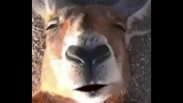 xvideos.com c9f0cab45ecc8cce5322095aed657c12