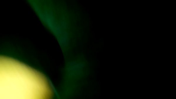 Nonton Vid 20150427 064213 thumbnail