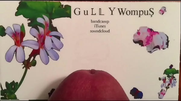 Gully_Wompus XXX business cards MOV