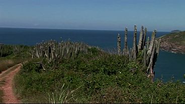 Nonton Nessa Devil Lets Two Strangers Dp Her Ass And Pussy thumbnail