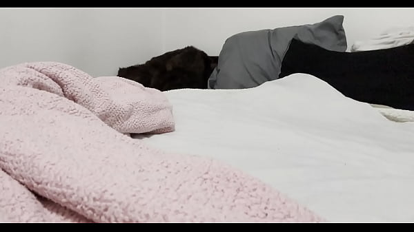 Nonton Mexicana Culona Montando. Verga thumbnail