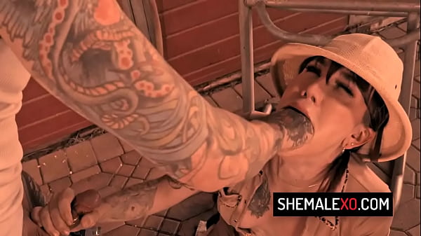 Hot transsexual slut Lena Moon gets a big cock into her tight ass 