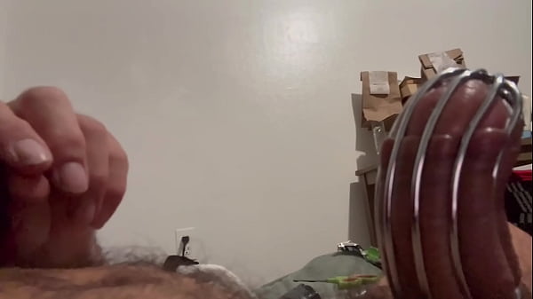 Chastity cage