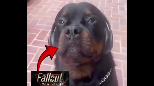 Dead money experience