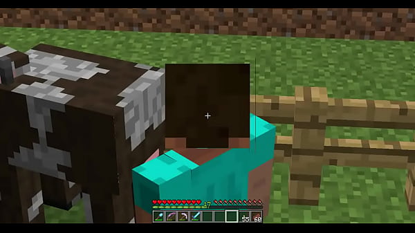 Orgia com vacas_Safadas