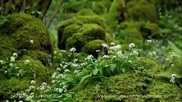 Bitch from Livu_Squirting Starlyn