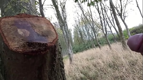 Play MP4 - Pissing up a tree