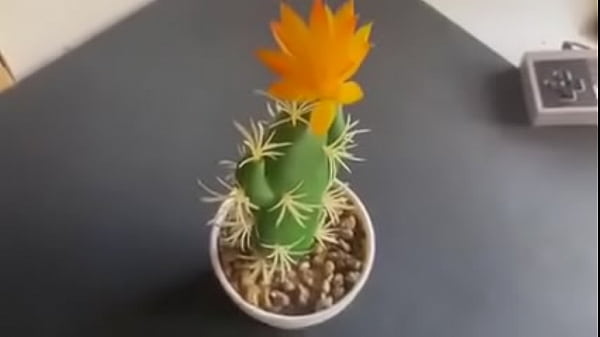 Unos random creen que nunca fuimos al espacio 