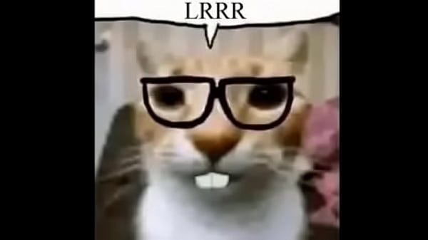 Unos random creen que nunca fuimos al espacio 