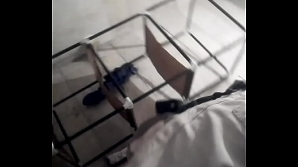 me gusta la ropa femenina 