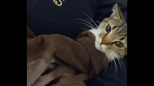 Fallando Mi Mujer Rico Y Le Encanta Demasiado A La Perro thumbnail