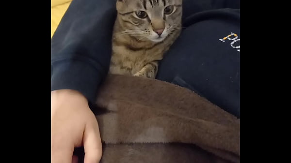 Nonton Fallando Mi Mujer Rico Y Le Encanta Demasiado A La Perro thumbnail