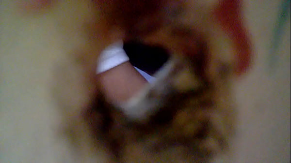 Play MP4 - espiando al chacal