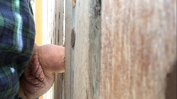 Play MP4 - FenceFuck