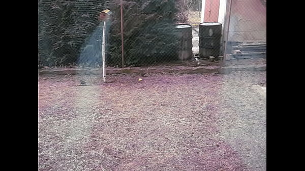 Nonton V Př&iacute;rodě thumbnail