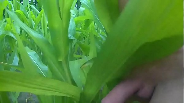 Play MP4 - Wanking in woods 10